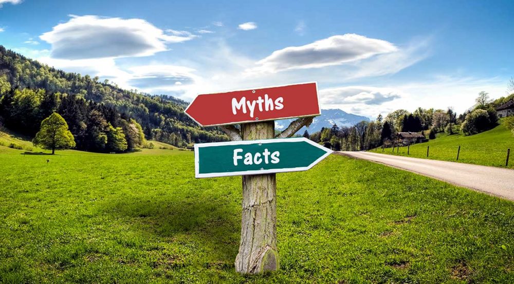 Freelancing Myths vs Facts